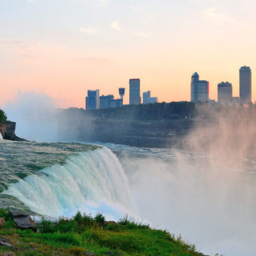 Why choose Niagara?